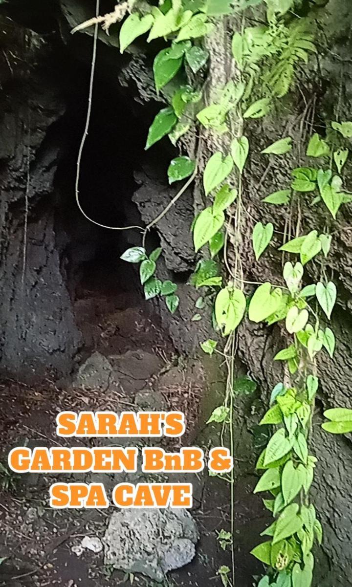Sarah'S Garden Bnb & Spa Clarin  Extérieur photo